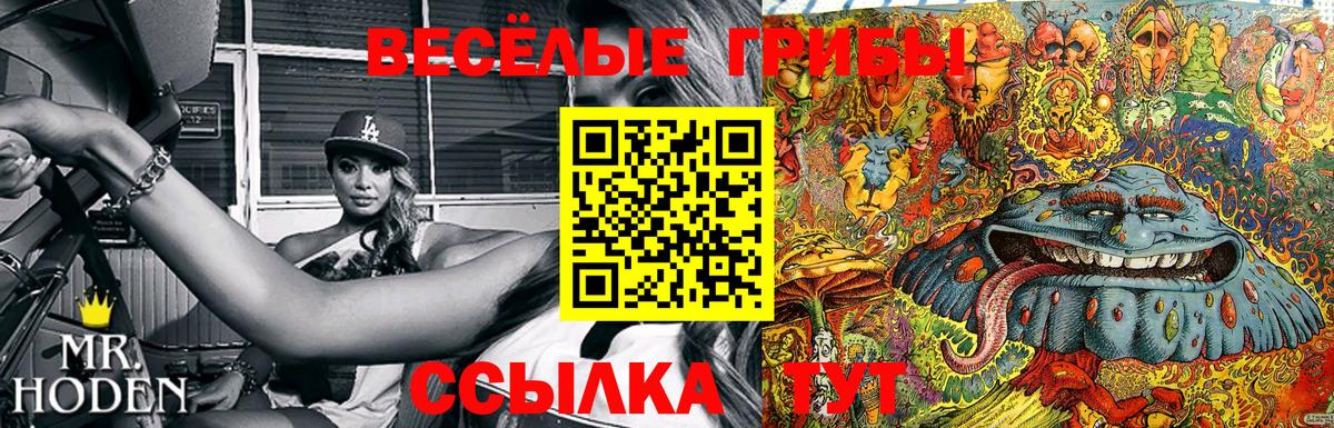 Боровичи  Псилоцибиновые грибы Magic Shrooms  Вход с VPN  Галлюциногенные грибы Psilocybe 
