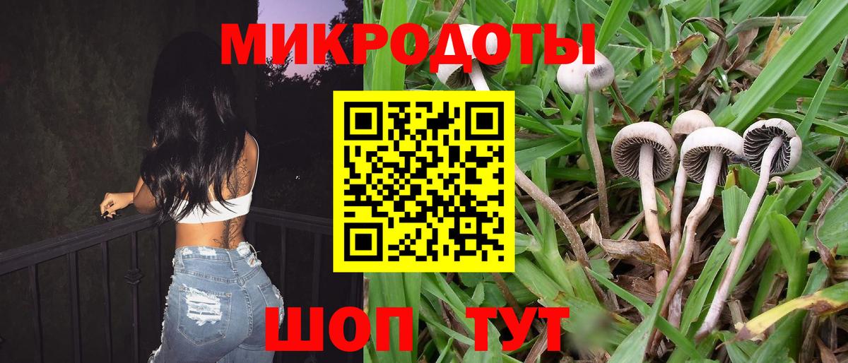 Псилоцибиновые грибы прущие грибы Боровичи